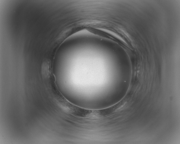 X0000076070119200609221206