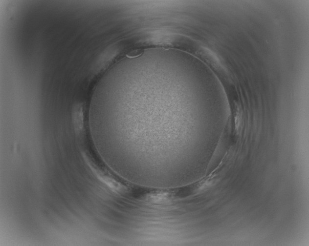 X0000076070120200609221206