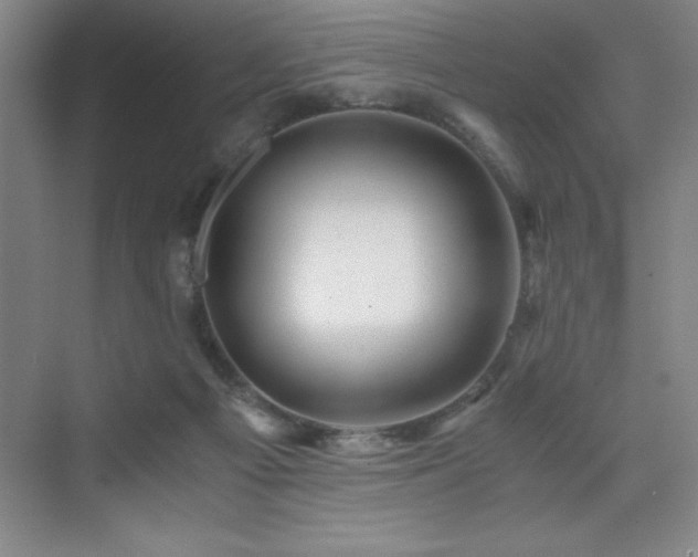 X0000076070121200609221206