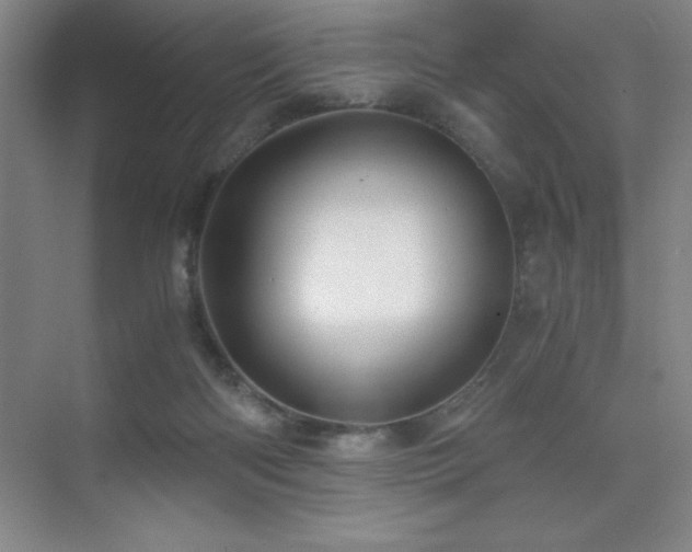 X0000076070122200609221206