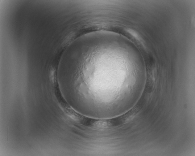 X0000076070123200609221206