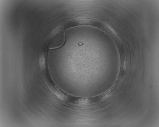 X0000076070124200609221206