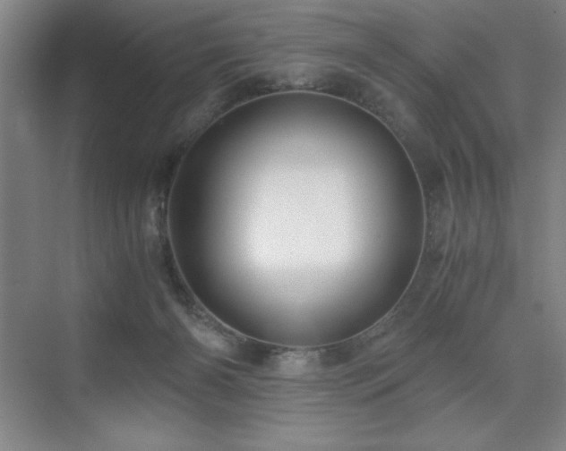 X0000076070126200609221206