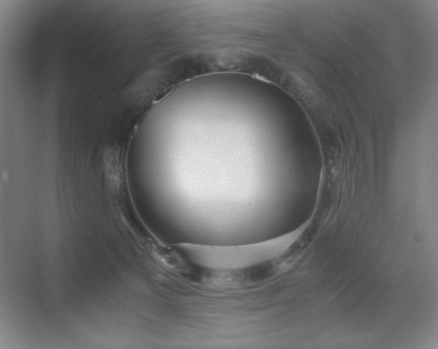 X0000076070129200609221206