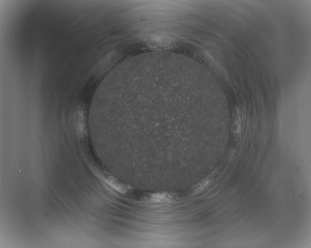 X0000076070130200609221206