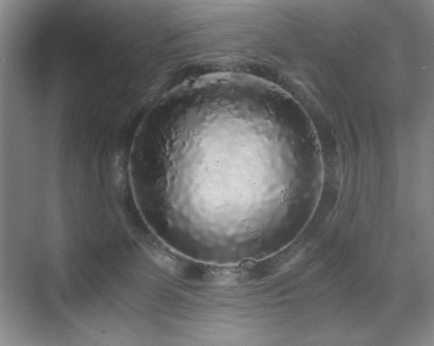 X0000076070131200609221206