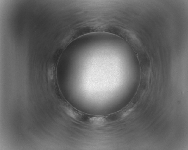 X0000076070133200609221206