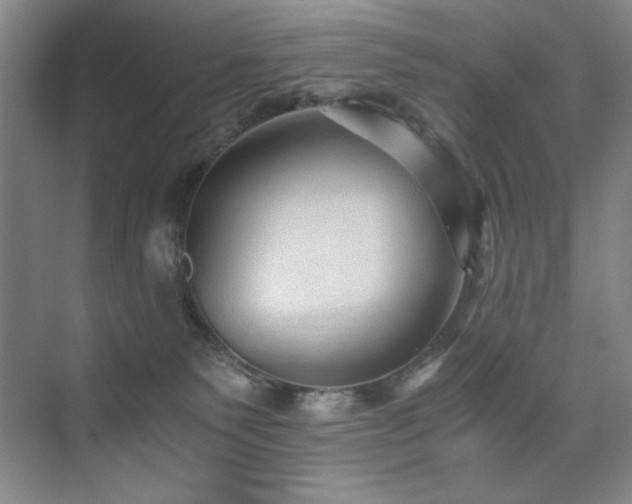 X0000076070135200609221206