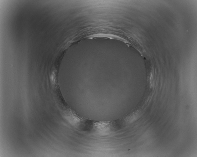 X0000076070139200609221206