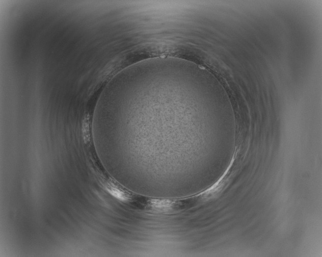 X0000076070144200609221206