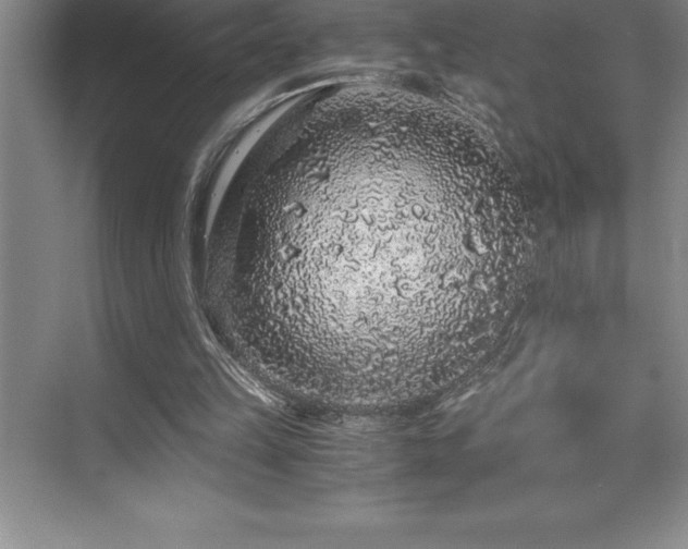 X0000076070149200609221205