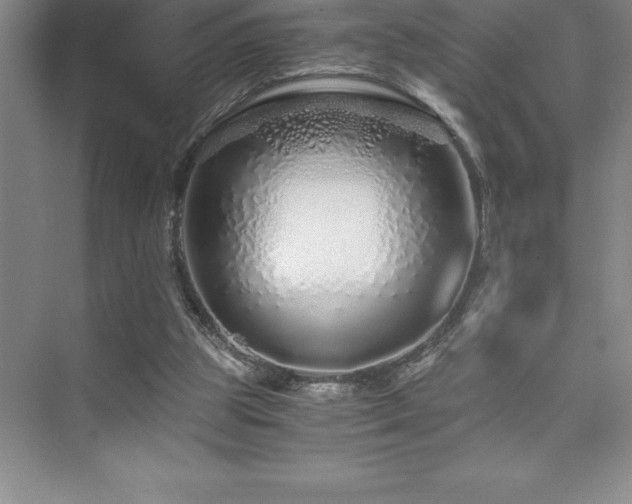 X0000076070153200609221205