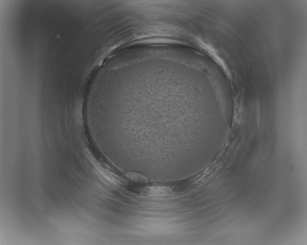 X0000076070154200609221205