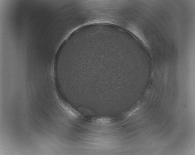 X0000076070156200609221205