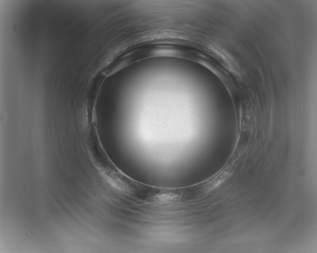 X0000076070158200609221205