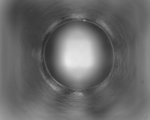 X0000076070159200609221205