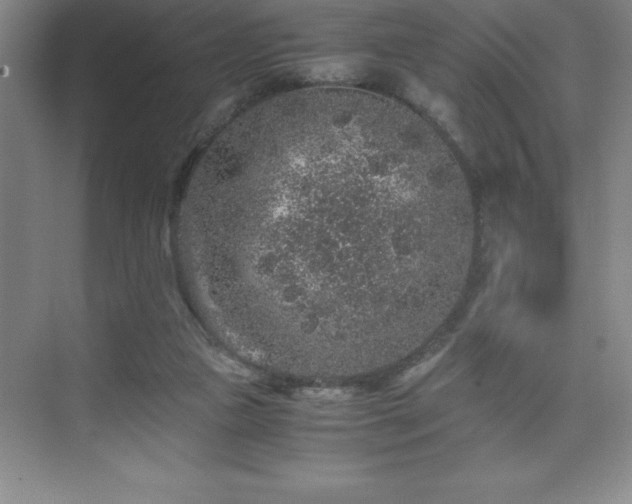 X0000076070161200609221205