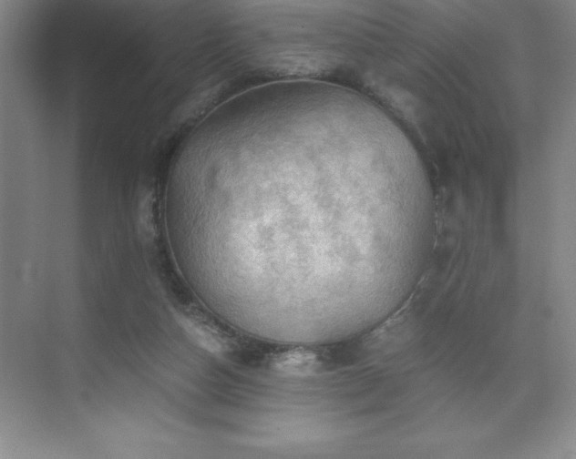 X0000076070162200609221205