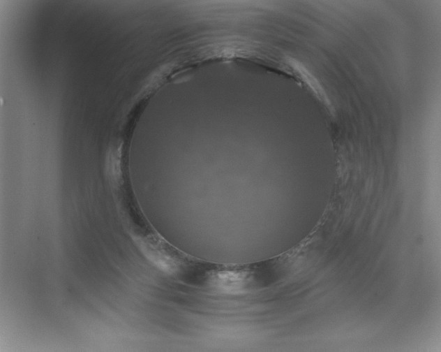 X0000076070163200609221205