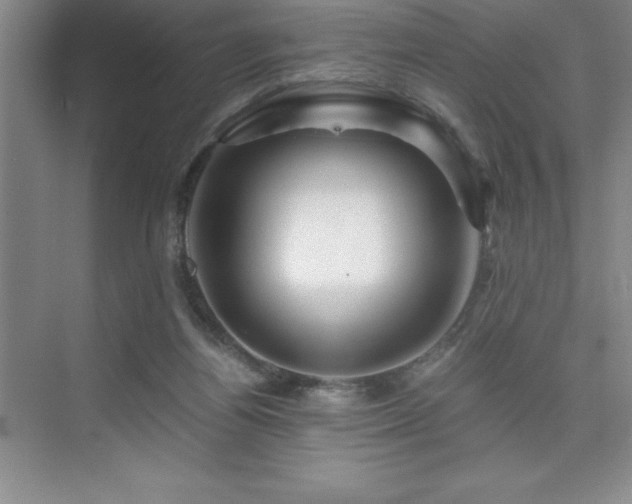 X0000076070164200609221206