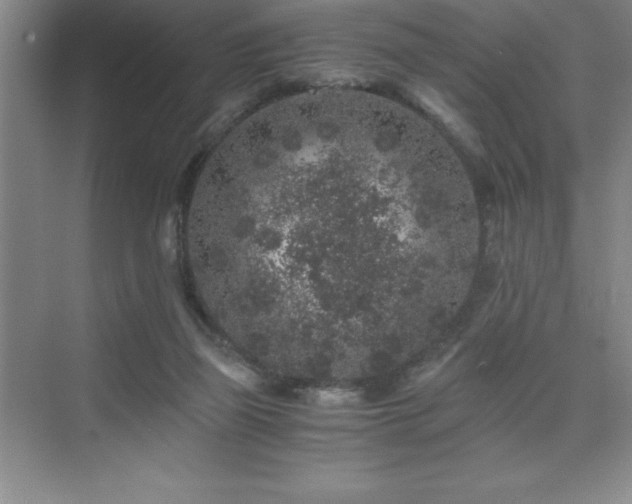 X0000076070165200609221206