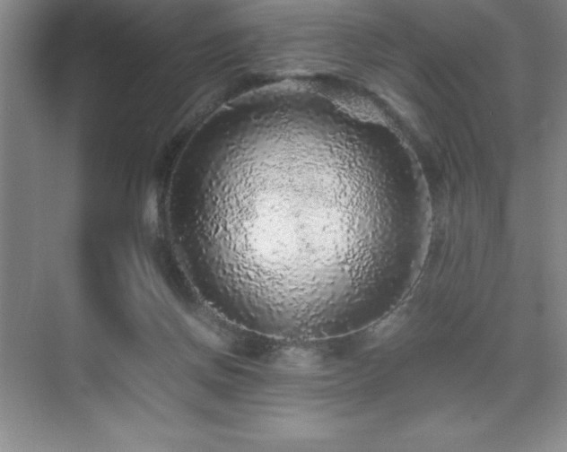 X0000076070166200609221206