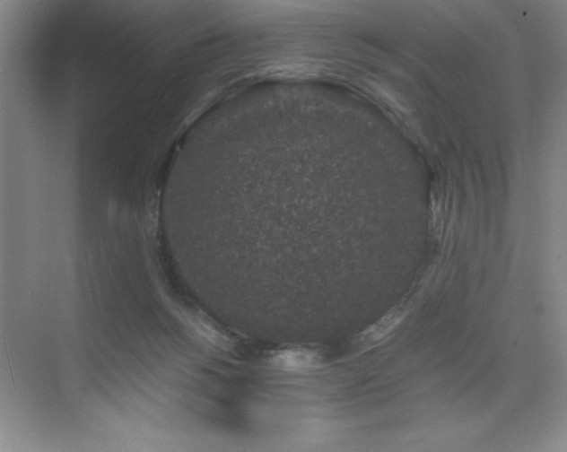 X0000076070168200609221206