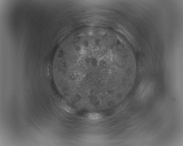 X0000076070169200609221206