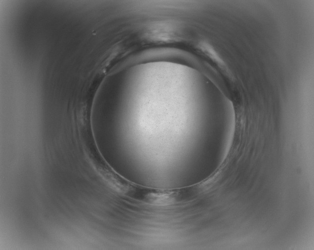 X0000076070170200609221206