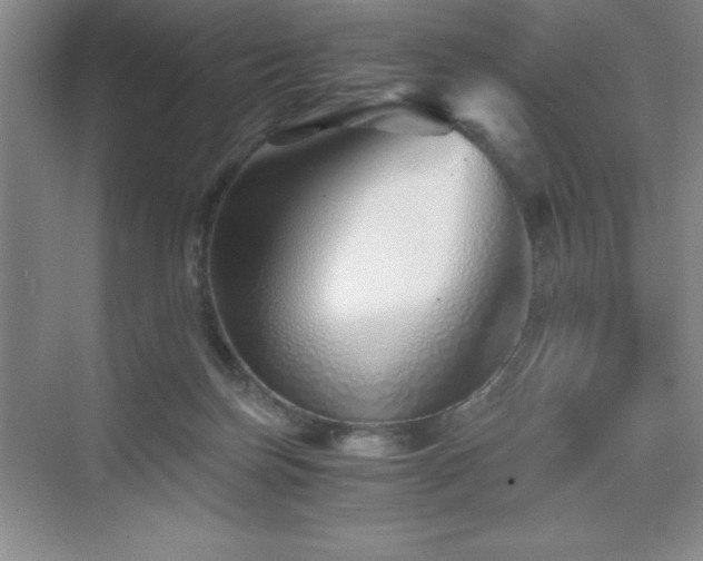 X0000076070171200609221206