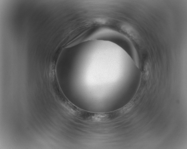 X0000076070172200609221206