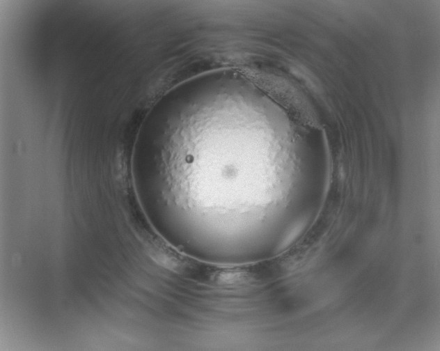 X0000076070173200609221206