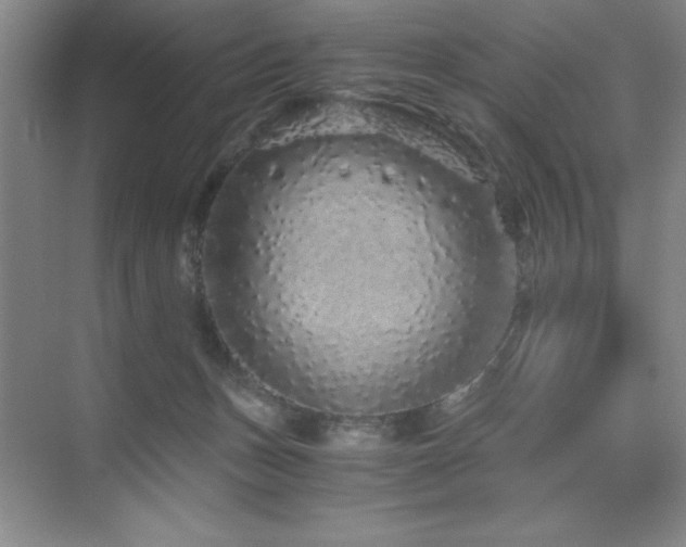 X0000076070175200609221206