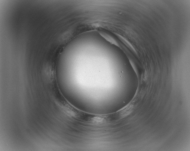 X0000076070176200609221206