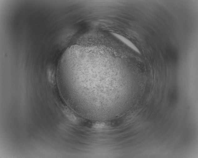 X0000076070177200609221206