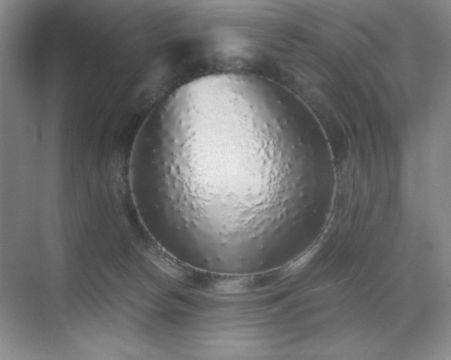 X0000076070178200609221206