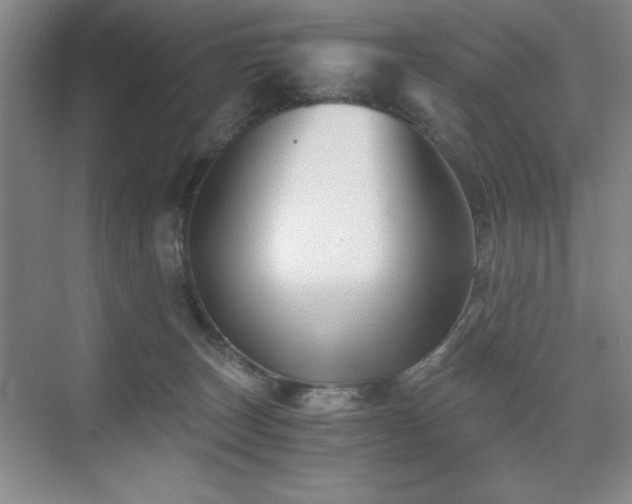 X0000076070179200609221206