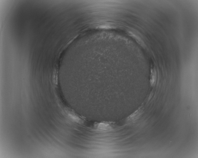 X0000076070180200609221206