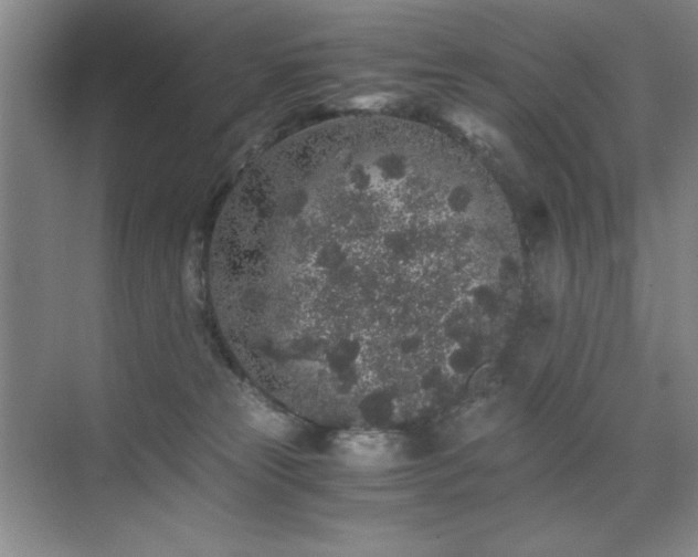 X0000076070181200609221206