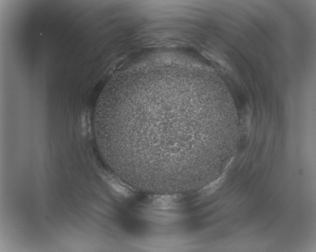 X0000076070182200609221206