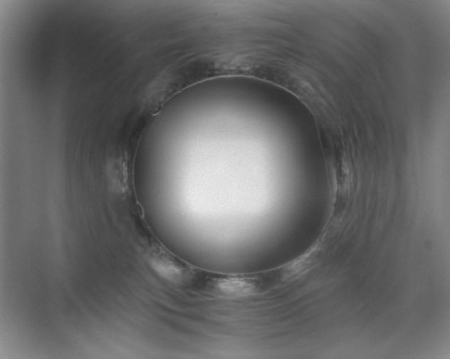 X0000076070183200609221206