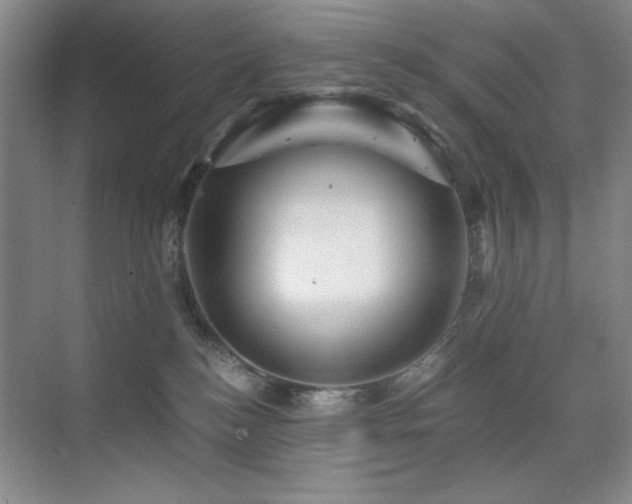 X0000076070184200609221206