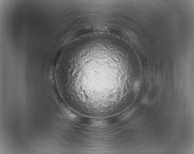 X0000076070185200609221206