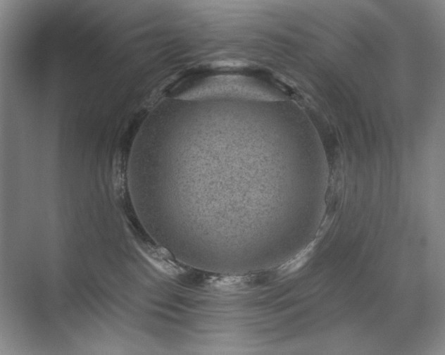 X0000076070186200609221206