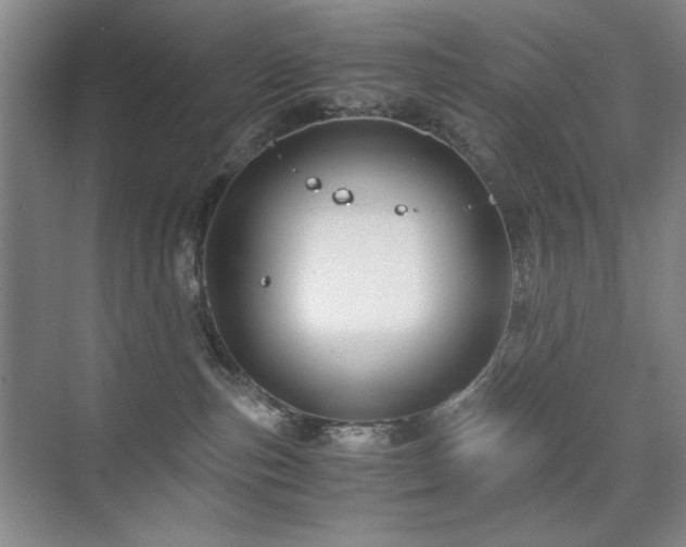 X0000076070187200609221206