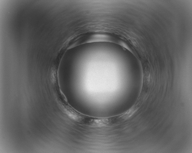 X0000076070188200609221206