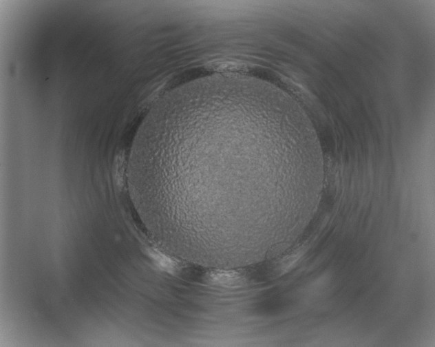 X0000076070189200609221206