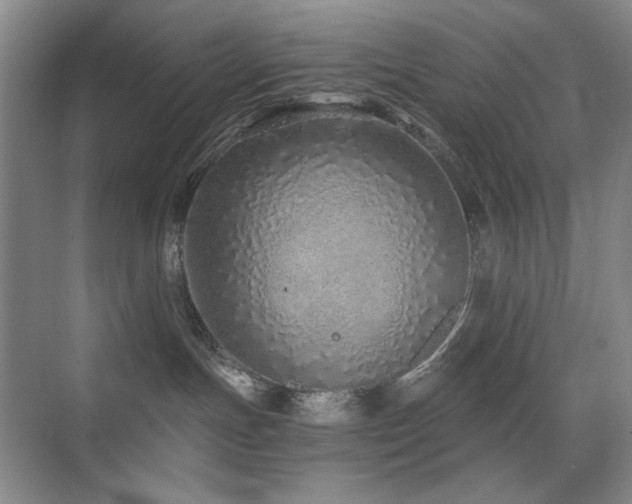 X0000076070191200609221206