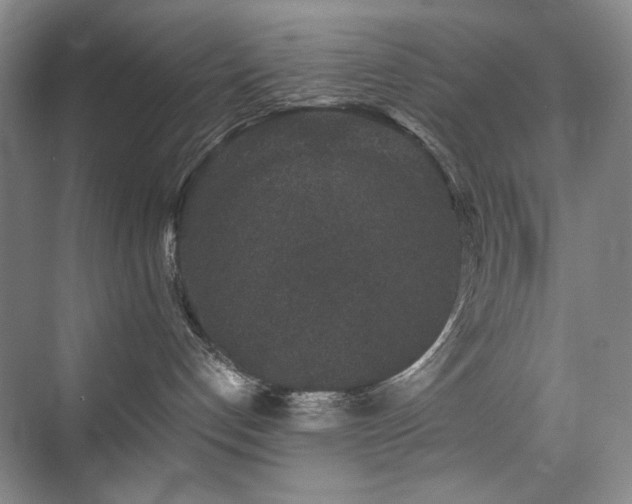 X0000076070192200609221206