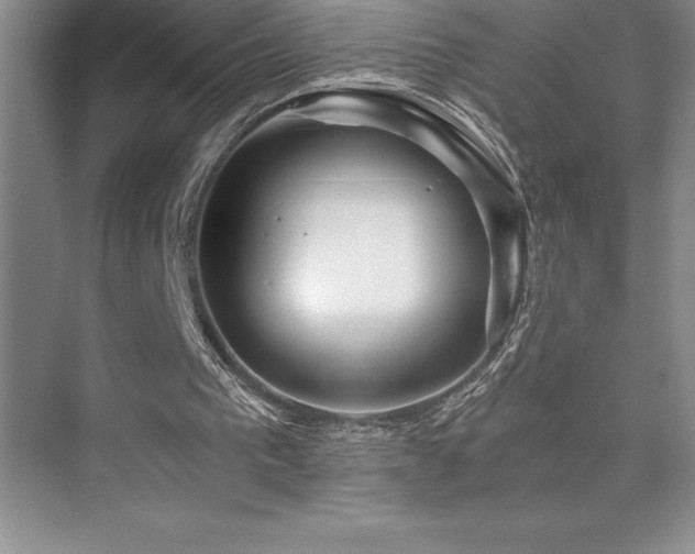 X0000076070193200609221205